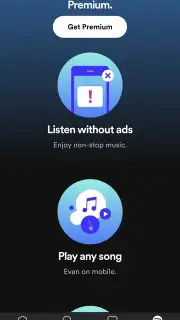 Spotify Lite captura 6