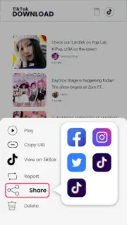 Downloader for TikTok captura 3