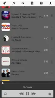 Z2.FM captura 2