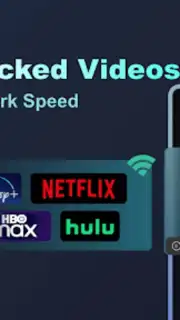 Tesla Proxy captura 4
