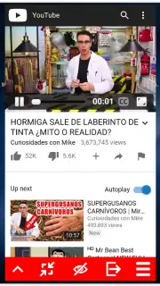 MiniTube captura 7