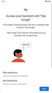 Google Assistant captura 13