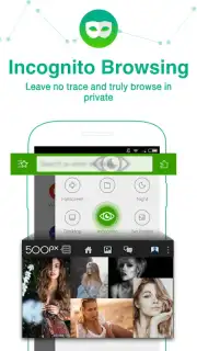 Dolphin Browser HD captura 4