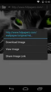 Broloader Video Downloader captura 13