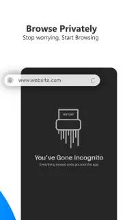 Private Browser captura 7