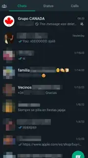 WhatsApp Messenger captura 5