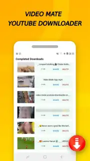 Vidora YouTube Downloader | free & fast captura 12
