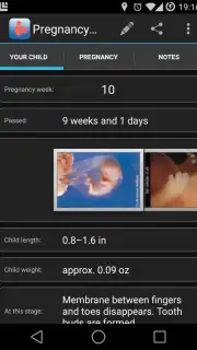 Pregnancy Assistant captura 3