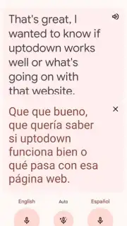 Google Translate captura 1
