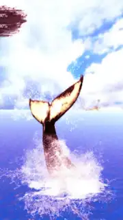 The Humpback Whales captura 23