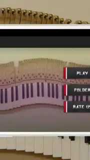 Piano captura 5