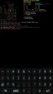 Dungeon Crawl: Stone Soup captura 11