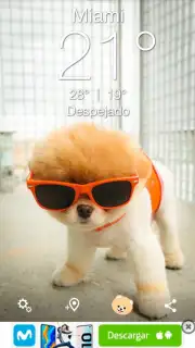 Boo Weather captura 3