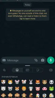 WhatsApp Messenger captura 23