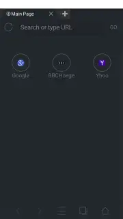 Web Browser captura 7