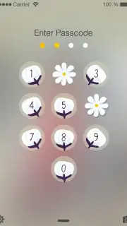 PIP Lock Screen captura 23