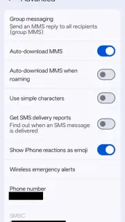Google Messages captura 12