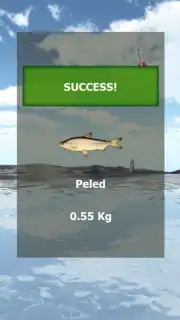 Fishing 3D Simulator. The Lakes captura 1