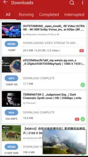YVideo Downloader captura 2