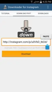 Video Downloader for Instagram captura 6