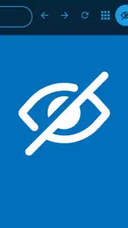 Silk Browser captura 4