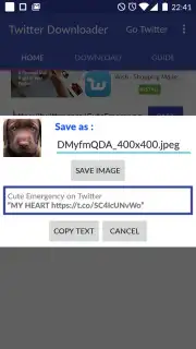 Video Downloader for Twitter captura 1