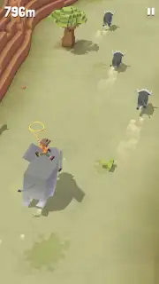 Rodeo Stampede captura 11