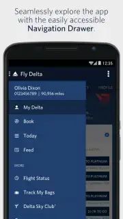 Fly Delta captura 8