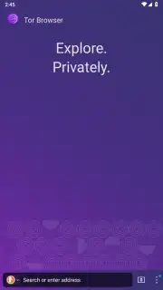 Tor Browser captura 21