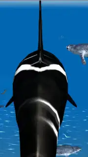 Orca Simulator captura 4