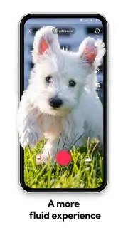 TikTok Lite captura 15