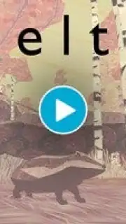 Shelter captura 1