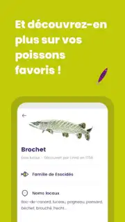 Génération Pêche captura 1