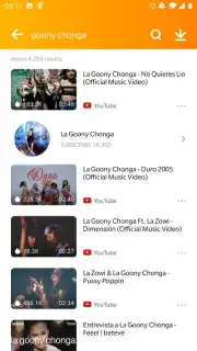 iFun Downloader captura 4