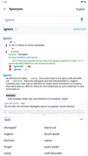 Reverso Translation Dictionary captura 21