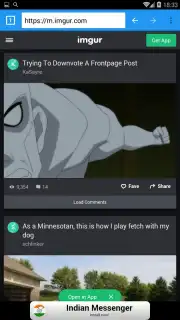 Ding Browser captura 1