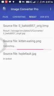 Best Image Converter Professional (Pro) captura 4