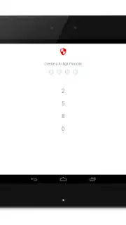 Anonymous Browser captura 18