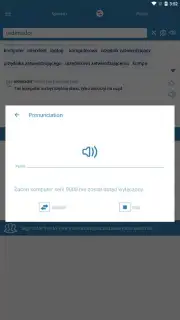 Reverso Translation Dictionary captura 13