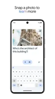 Google Gemini captura 6