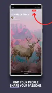Flipboard captura 5