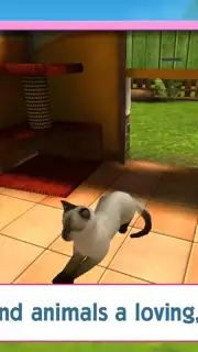 PetWorld: Animal Shelter captura 4