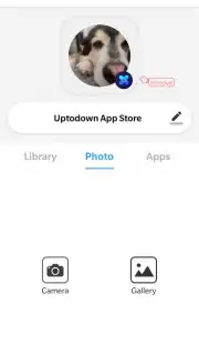 X Icon Changer captura 5