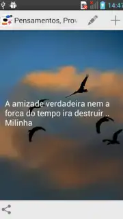 Cristo captura 7
