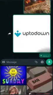WhatsApp Messenger captura 8