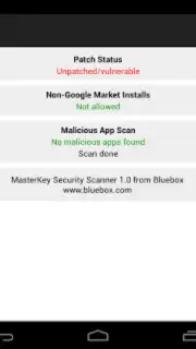 Bluebox Security Scanner captura 1