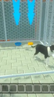 Animal Shelter Pet World Life captura 3