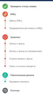 Госуслуги СПб captura 6