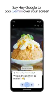 Google Gemini captura 11