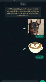 WhatsApp Messenger captura 12